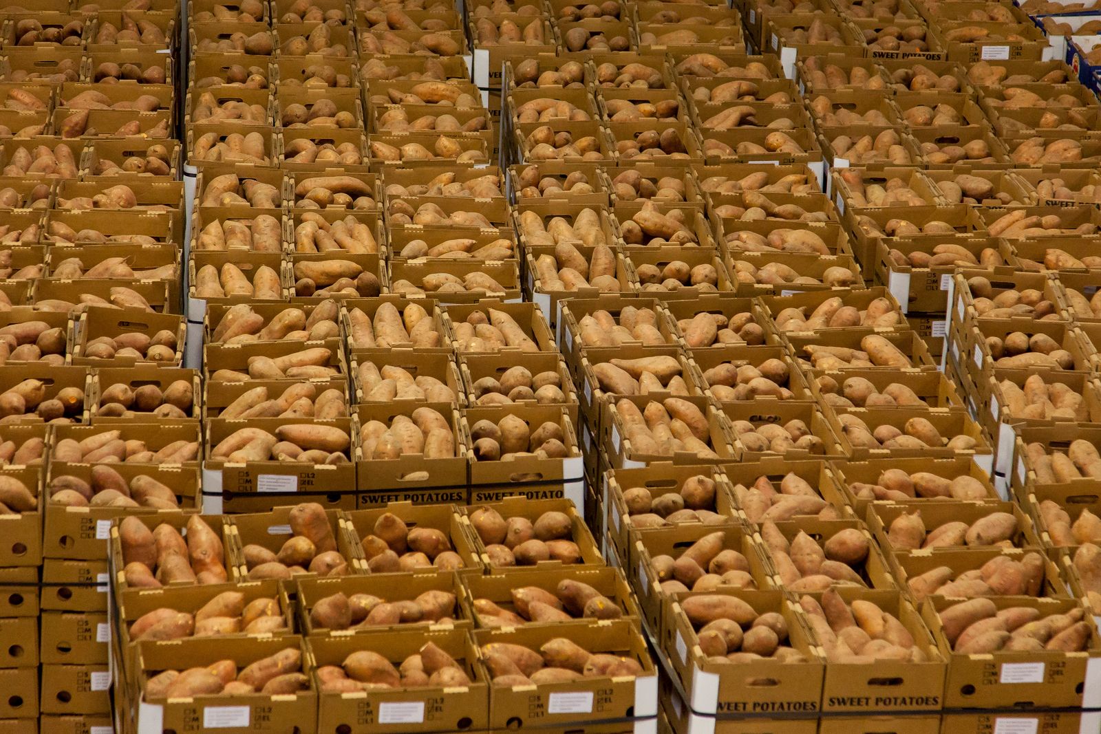 Fresh produce in distribution boxes